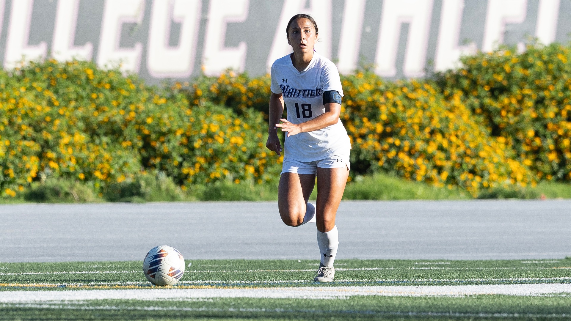 WSOC