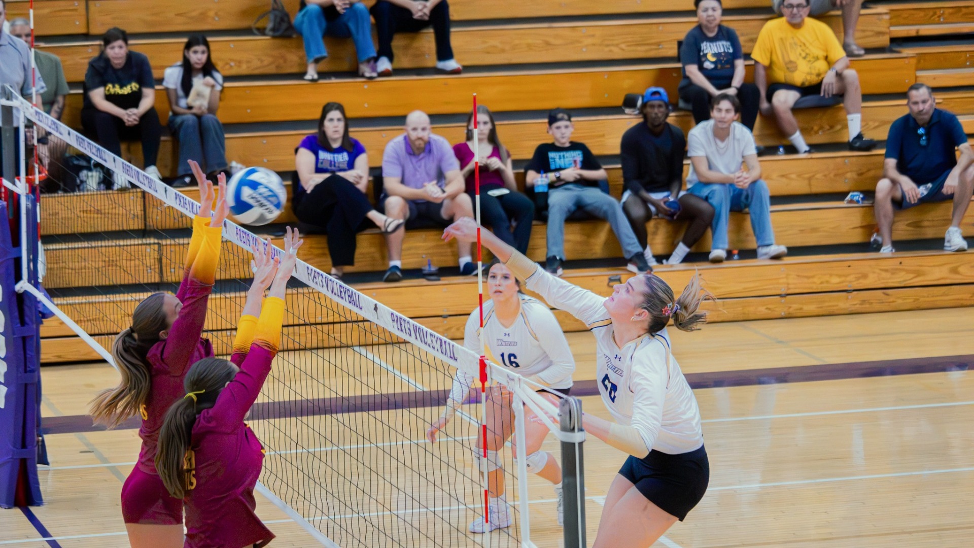 WVB