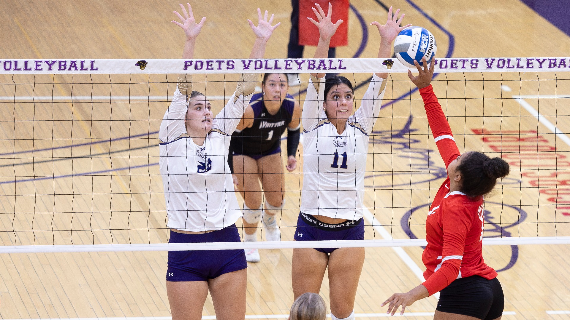 WVB