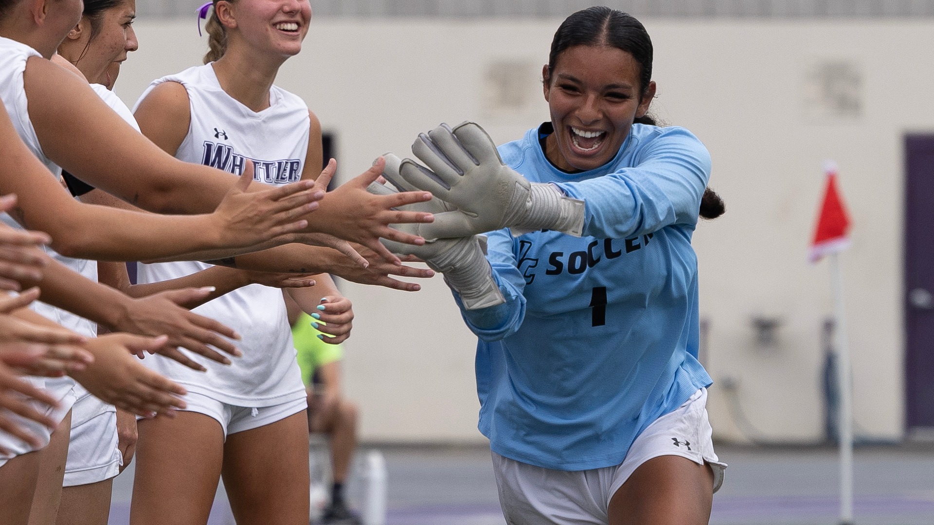 wsoc