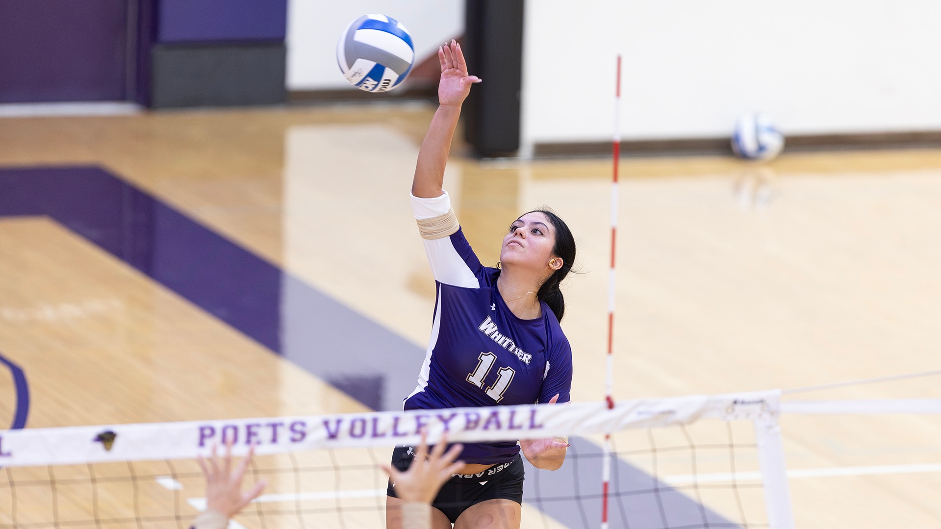 WVB
