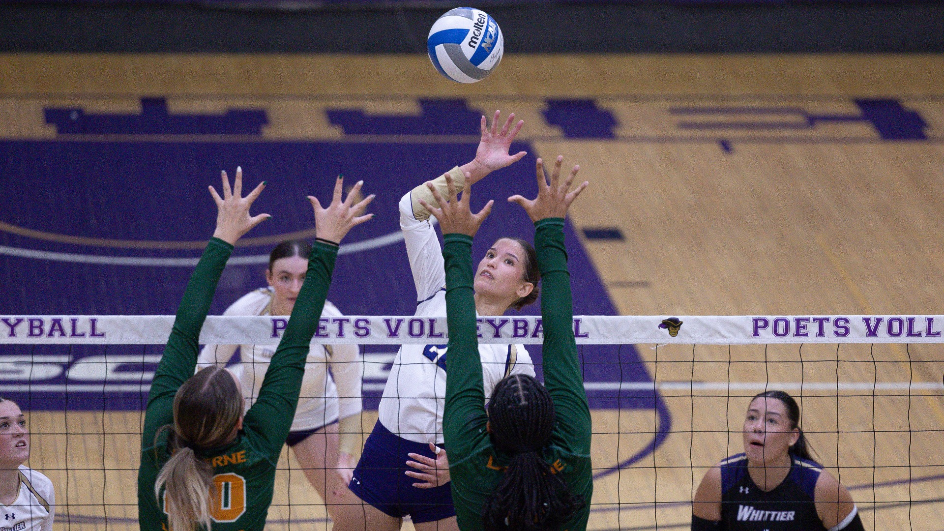 WVB VS LV