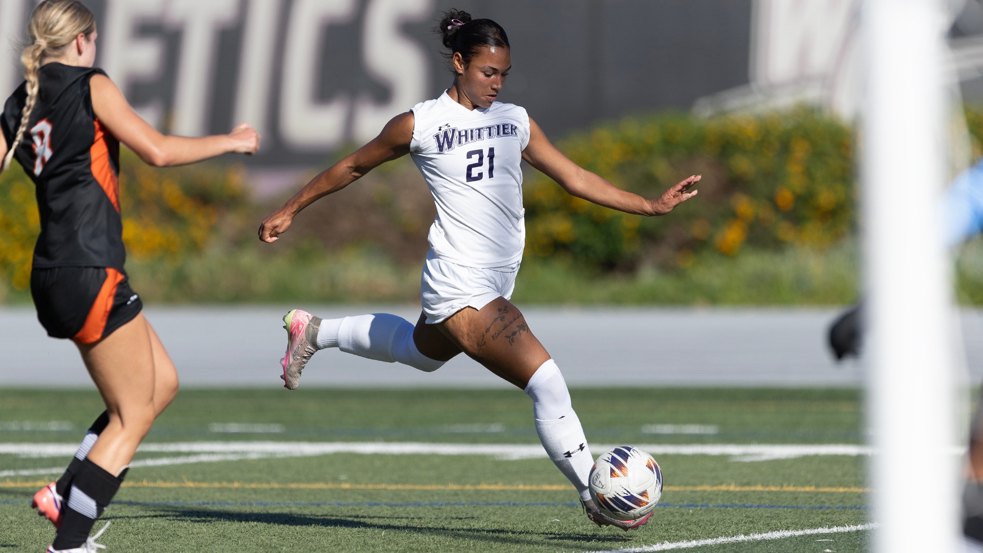 WSOC VS OXY