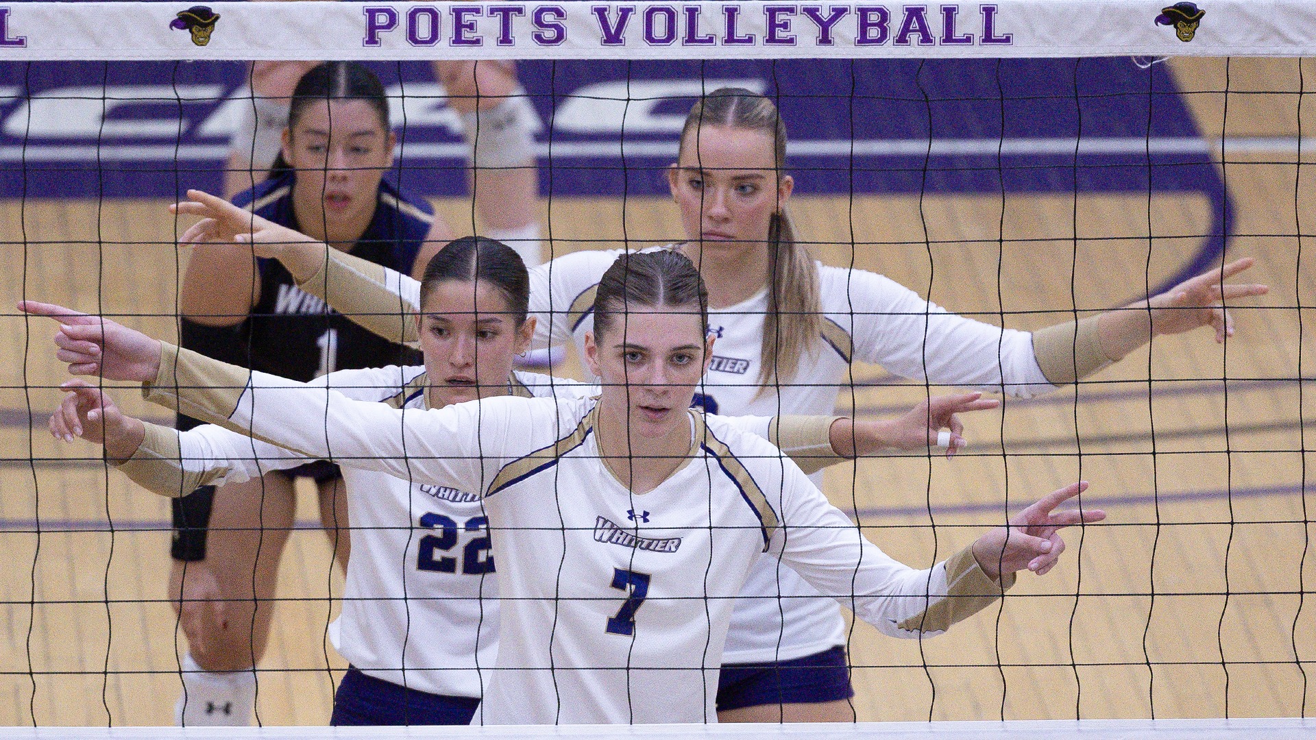 WVB