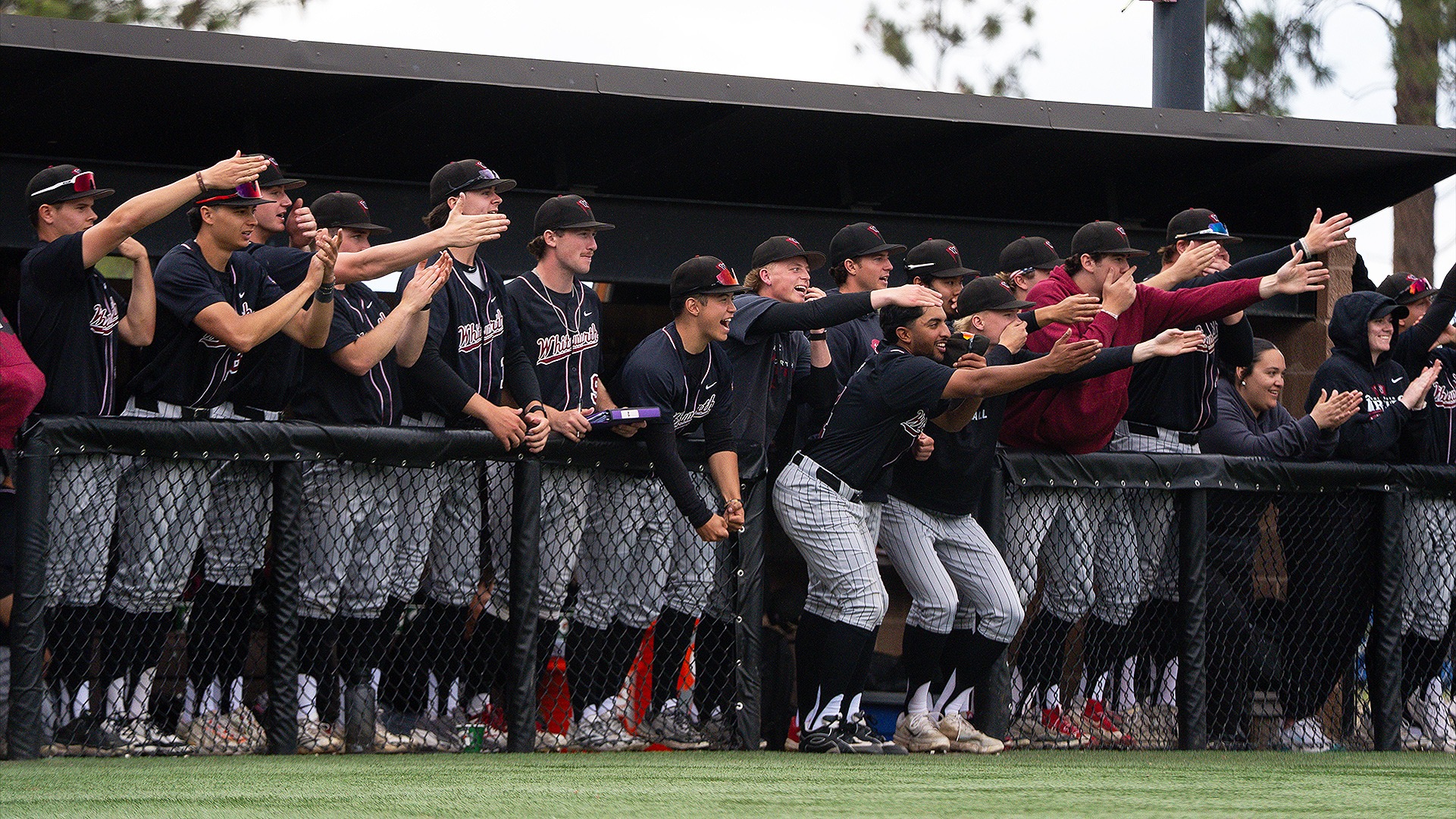 The Whitworth dugout celebrates and RBI double vs. Linfield 2026