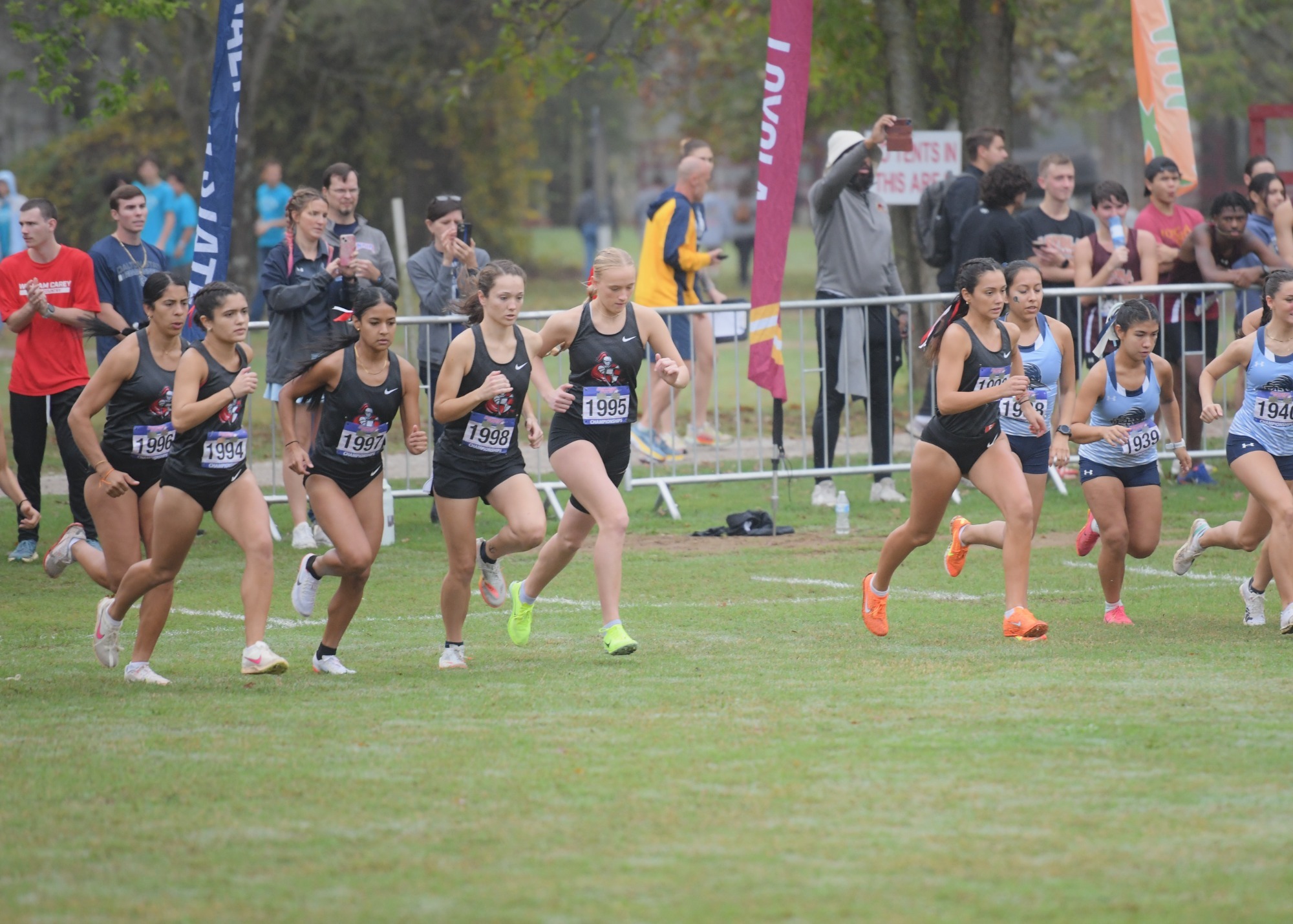 wxc_naia_24