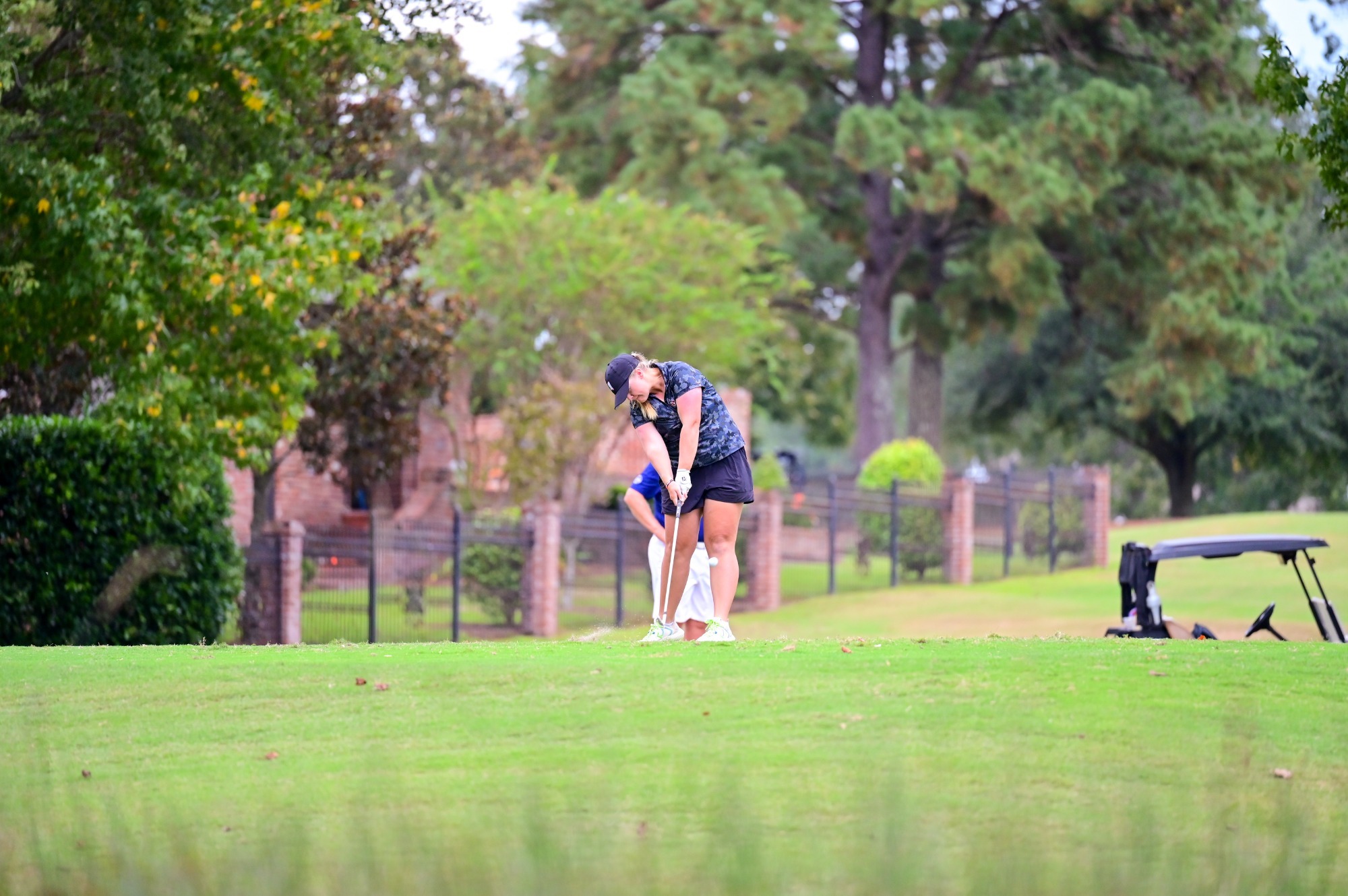 gracie careycollegiate_25