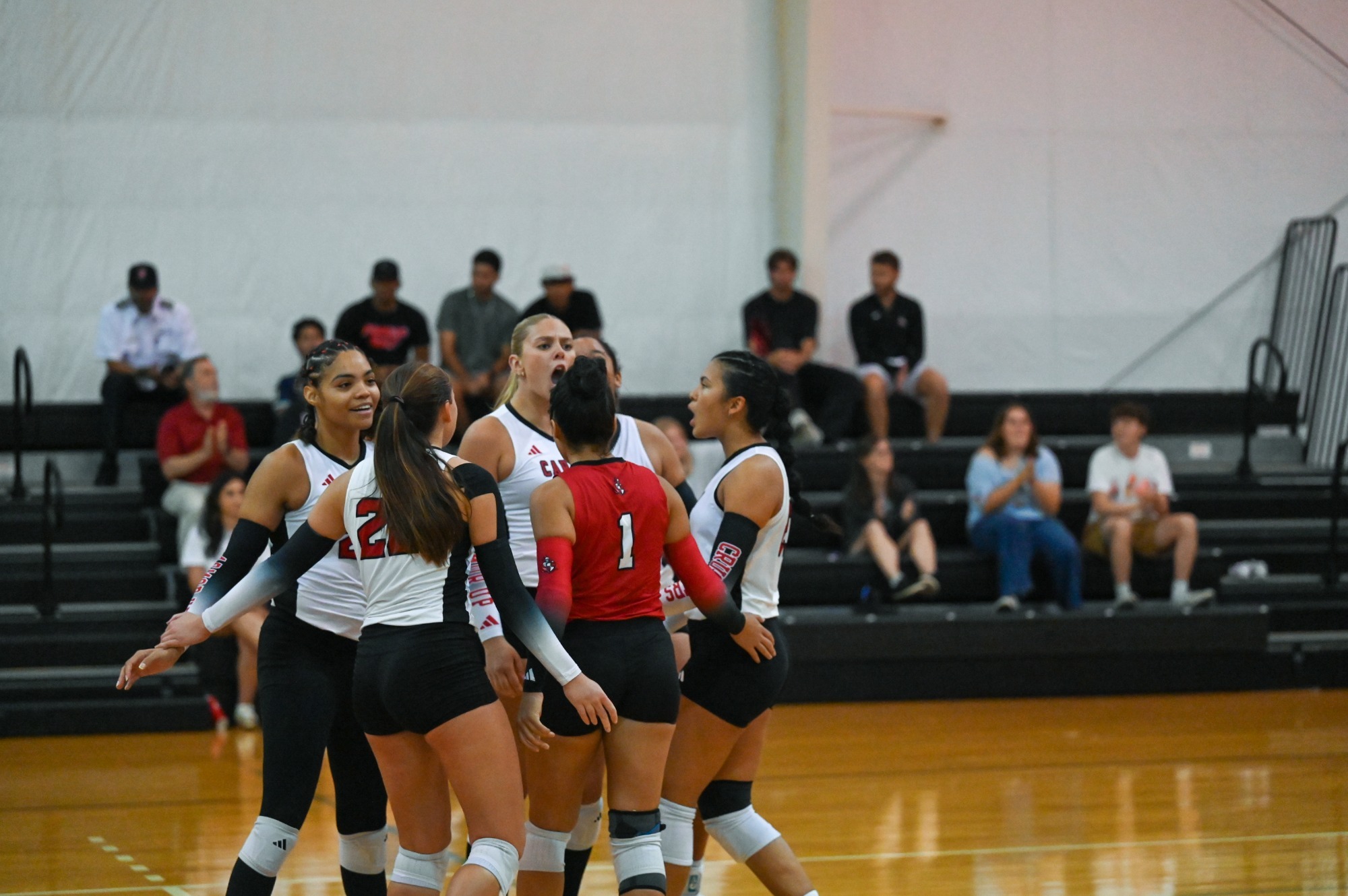 vball_wesleyan1_100826