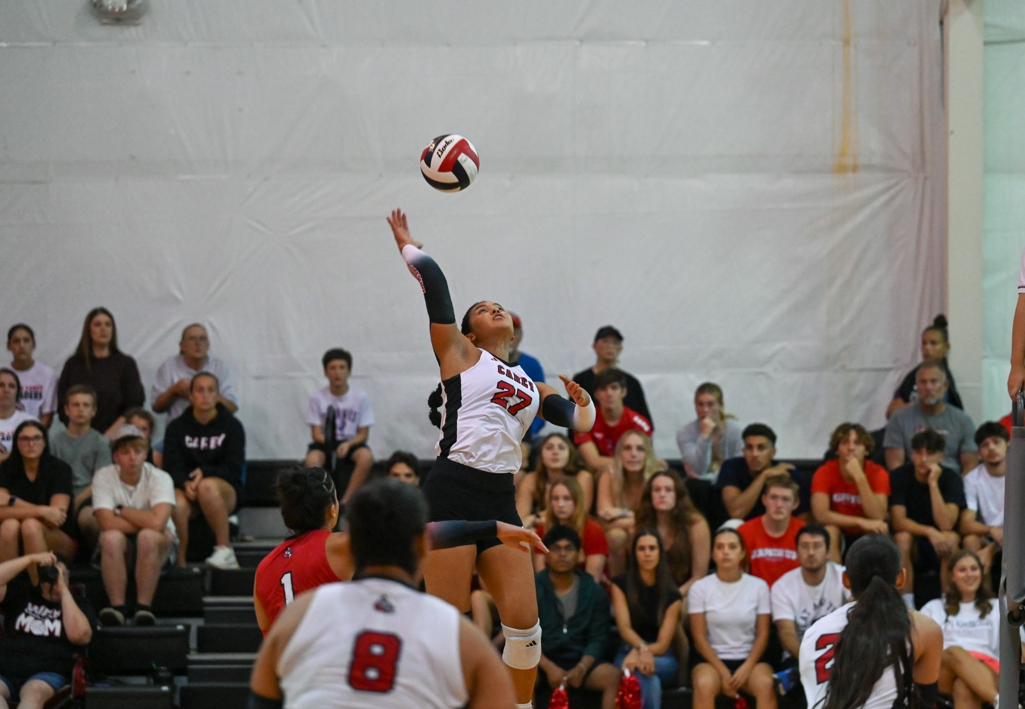 vball_buf_26