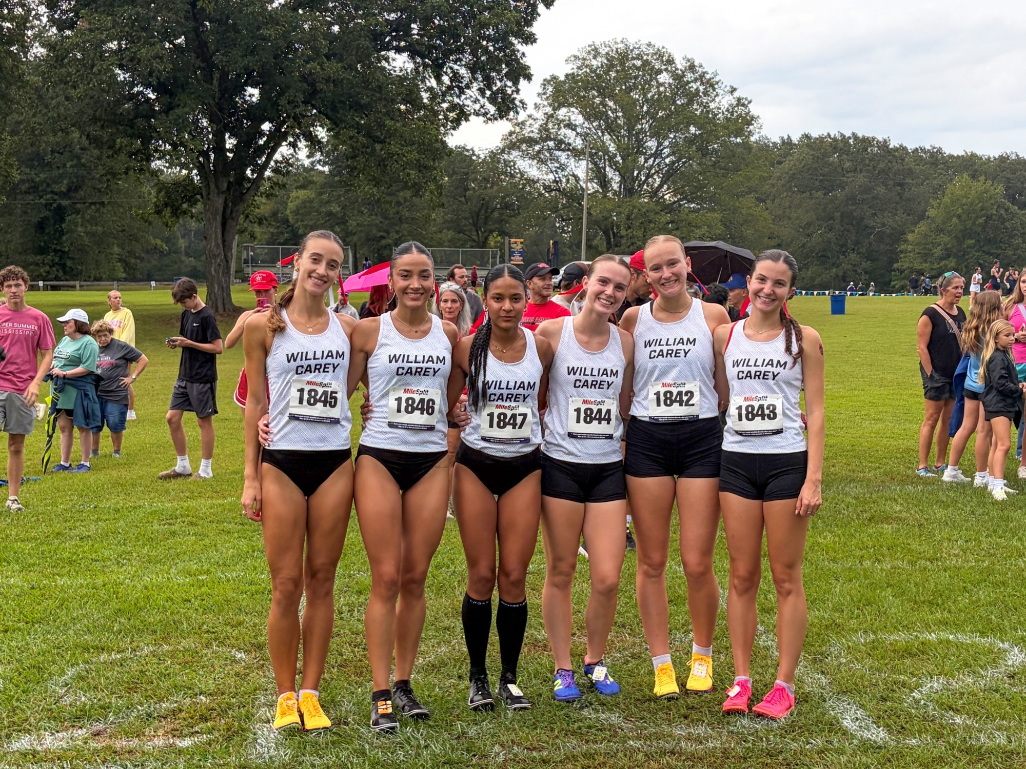 wxc_mc_26