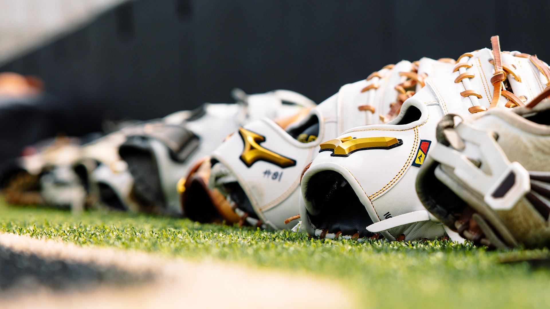 Softball Gloves Generic