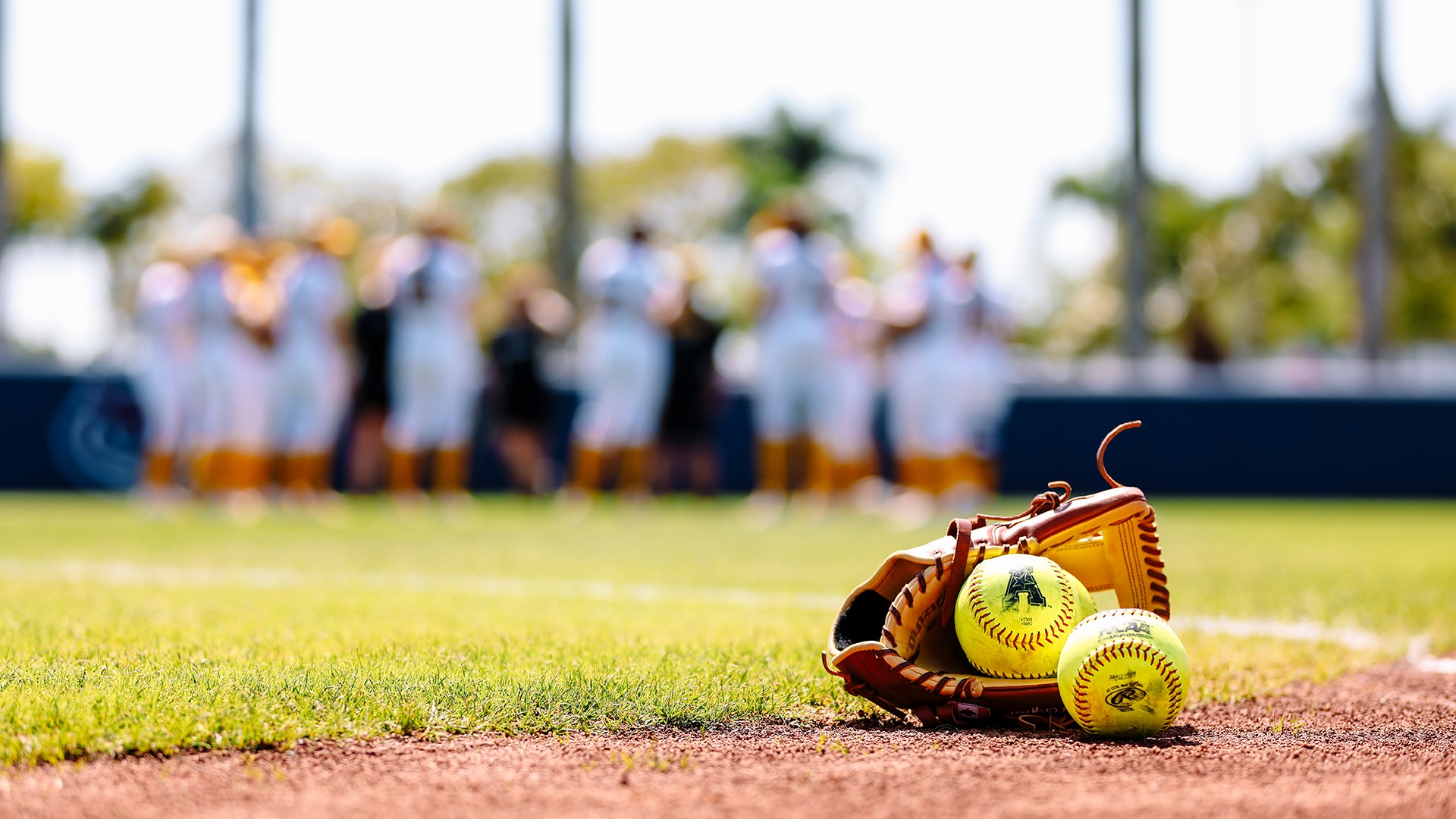 Softball Glove, Softballs, Generic
