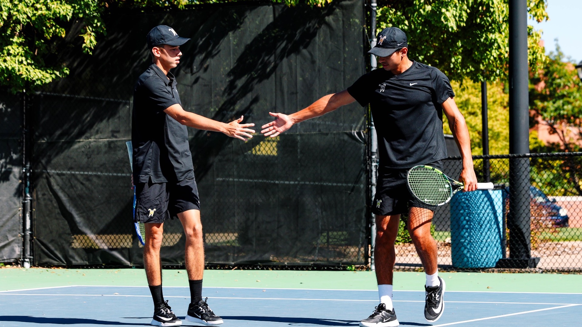 Al Mashni and Milushev