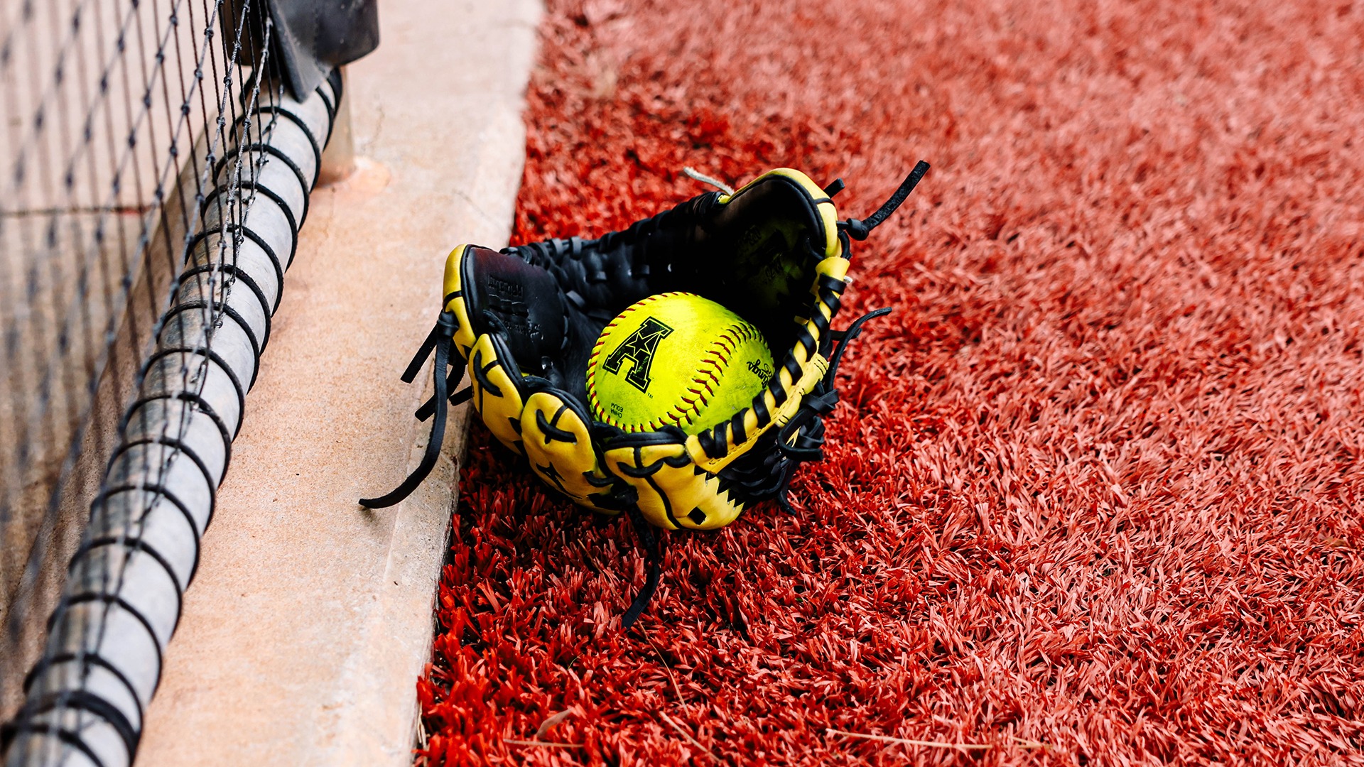 Softball Glove Generic