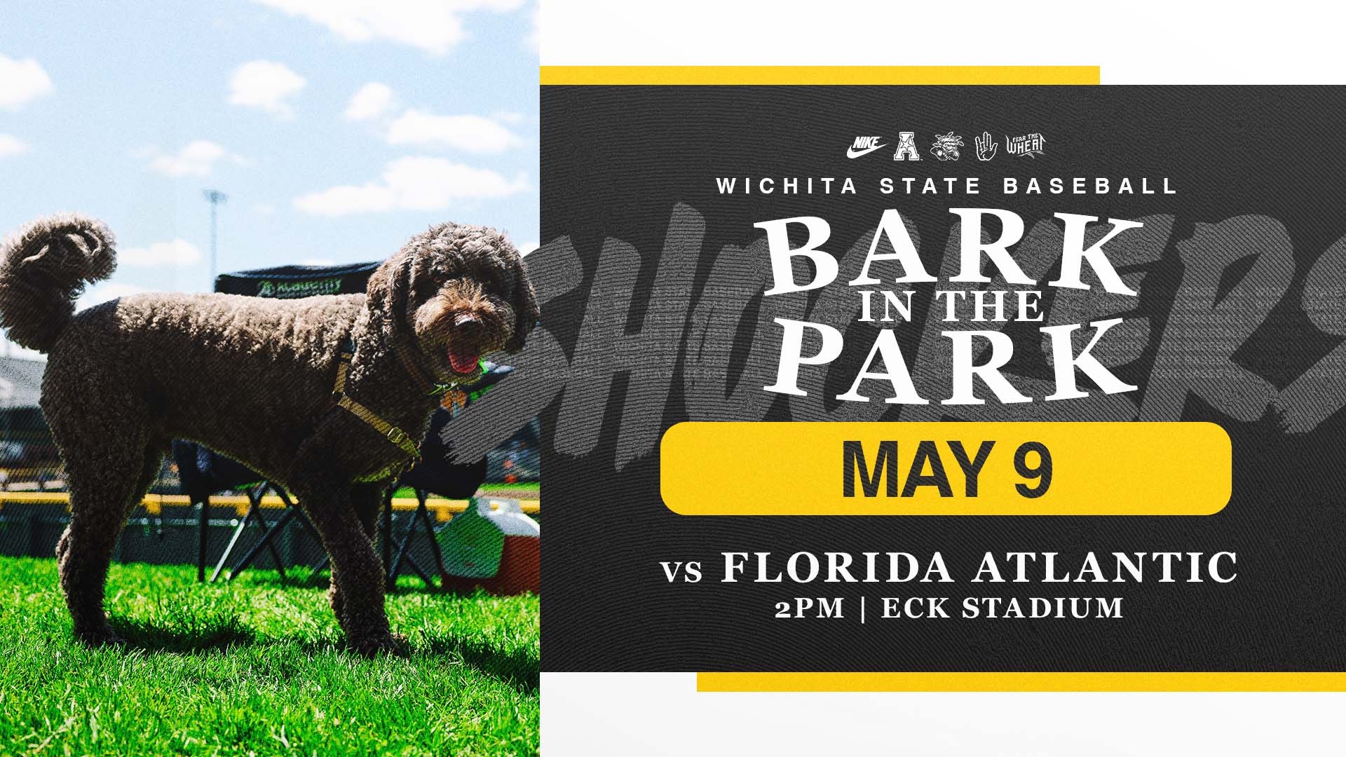 BSB Bark in the Park Web Graphic - 2026