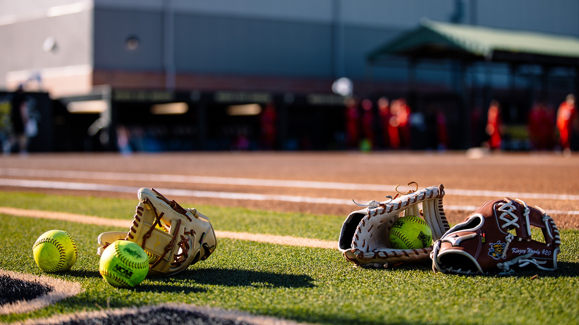 Generic Softball Gloves