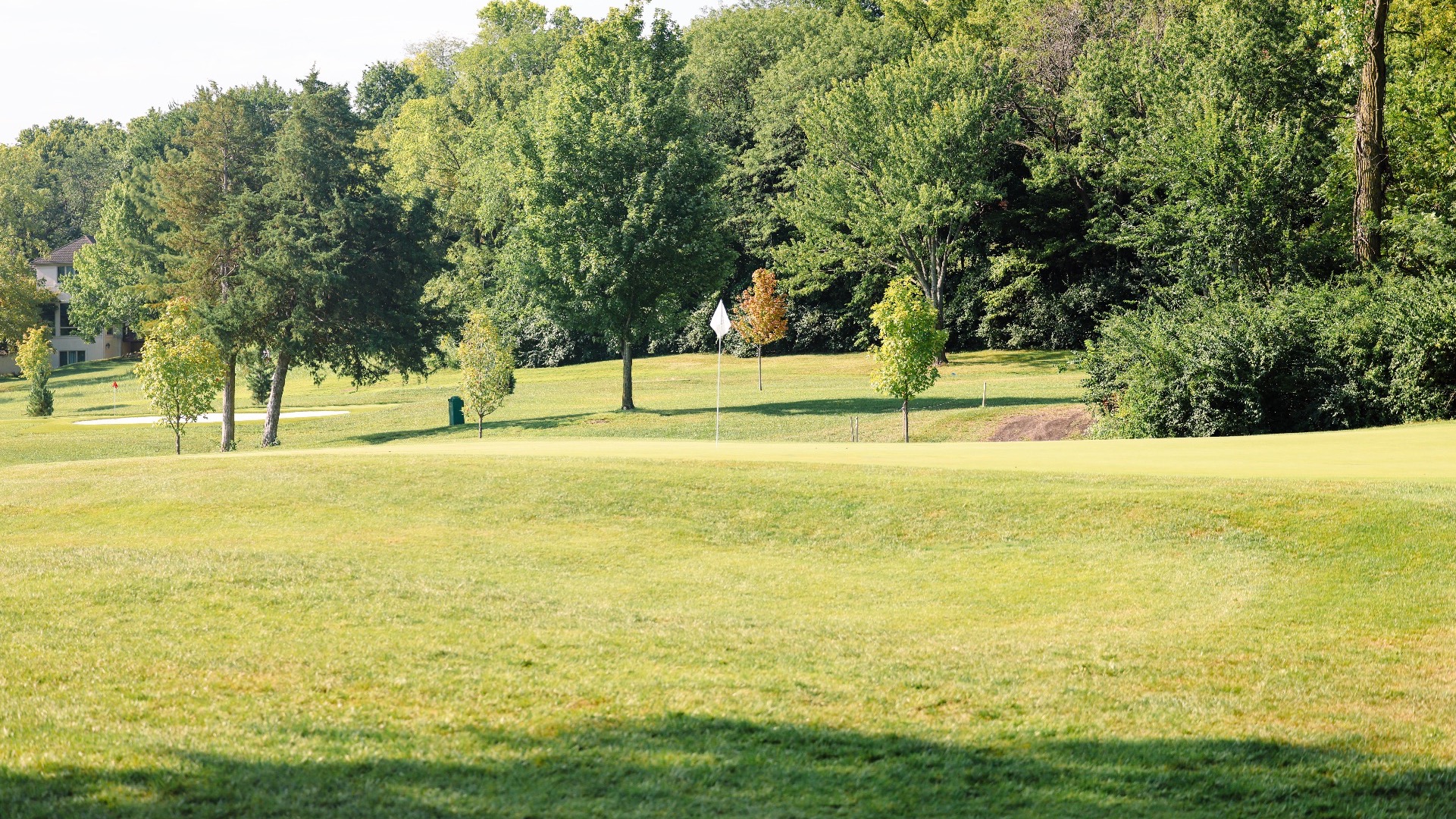 Golf Generic