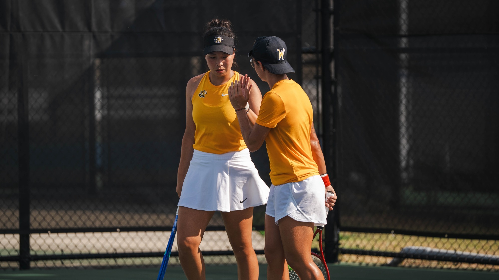 Wang/Roselli