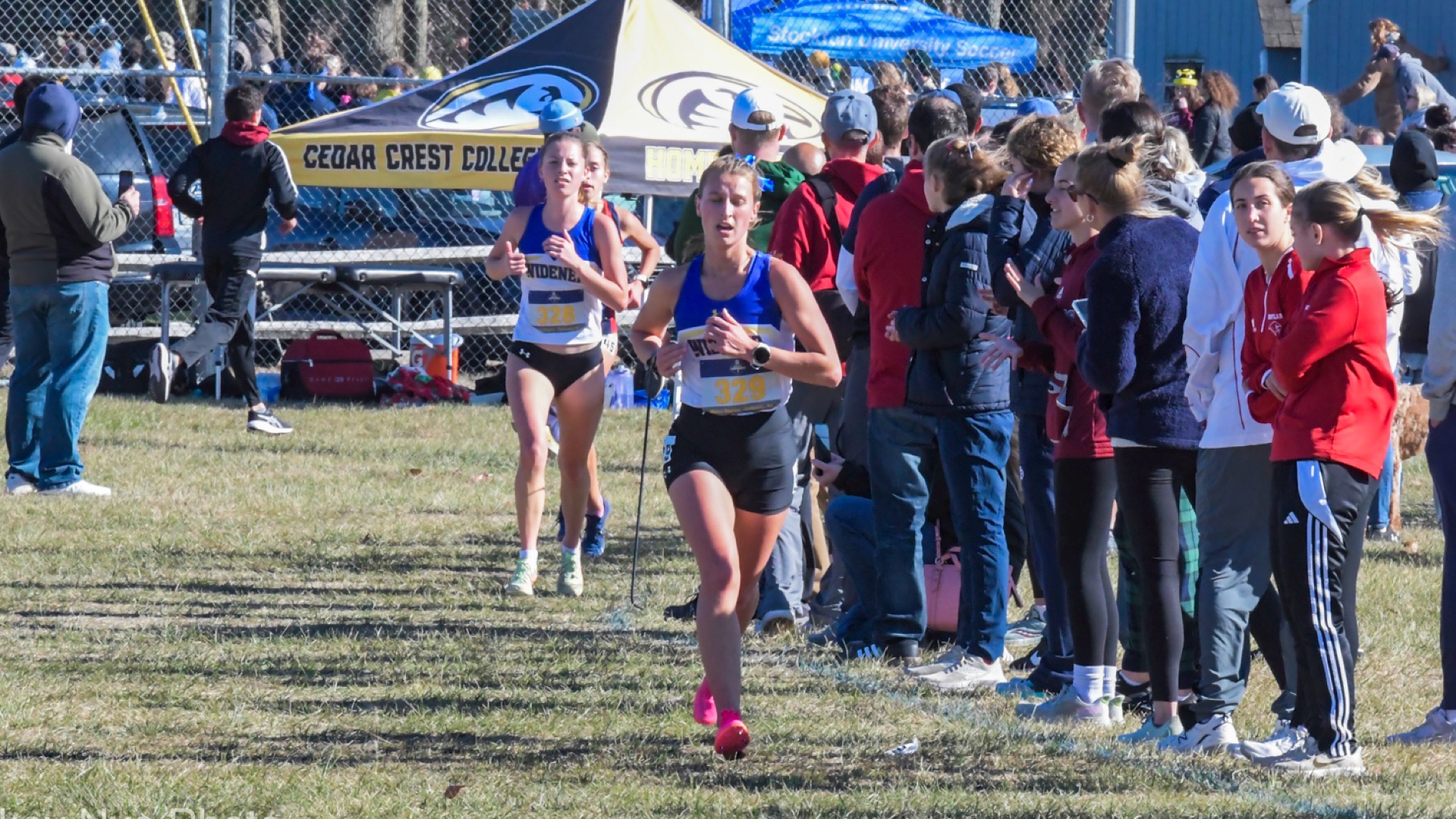 Nye and Long Set for NCAA Cross Country Championships Widener