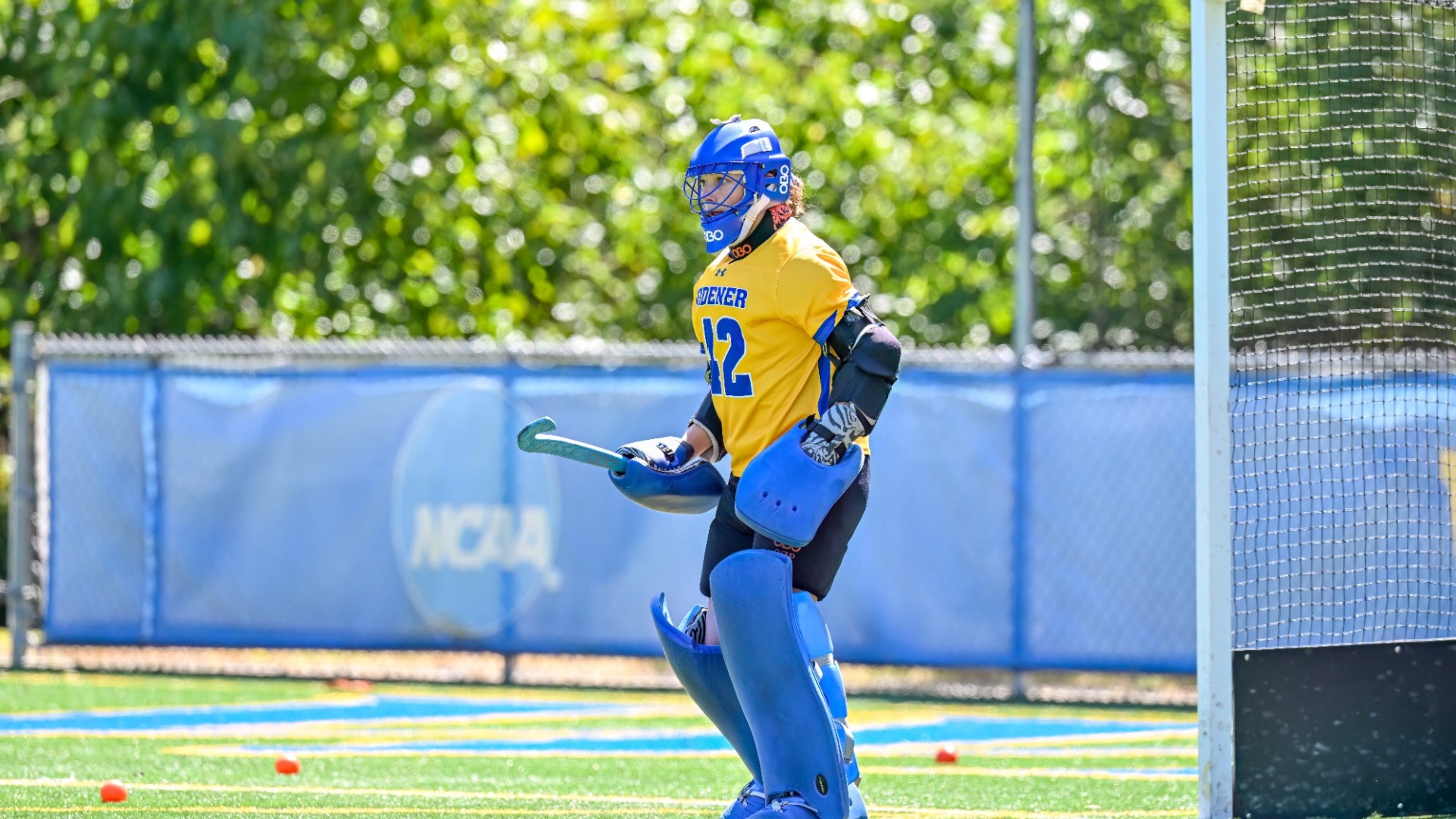 2025 FH Arwen Fithian v Stevens