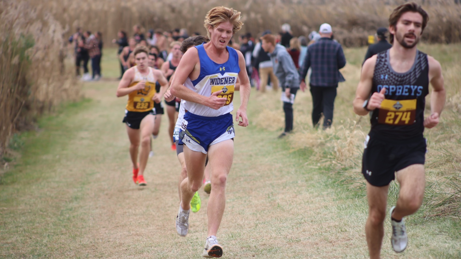 Michael Carolan 2025 NCAA Regionals