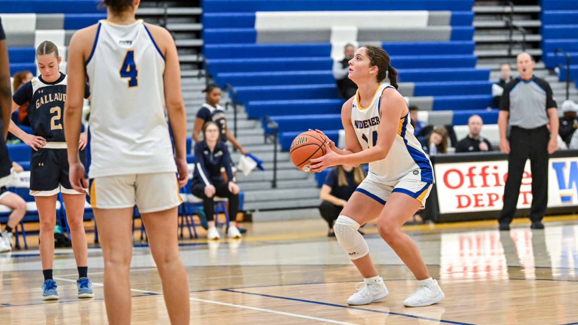 Palmieri vs Gallaudet