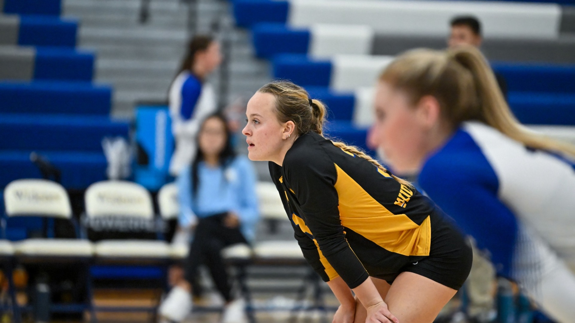 2026 WVB Rachel Towers vs. Alvernia