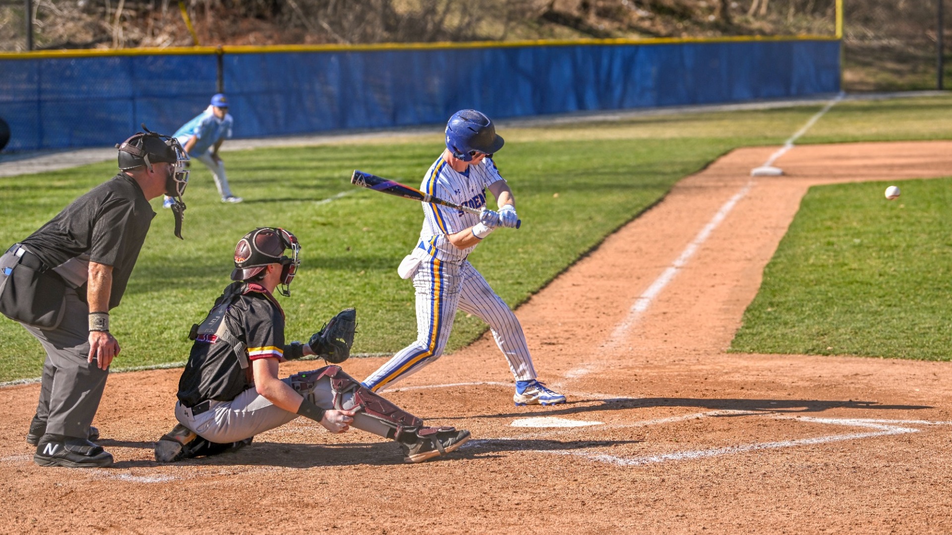 Bauerle vs ursinus 2026