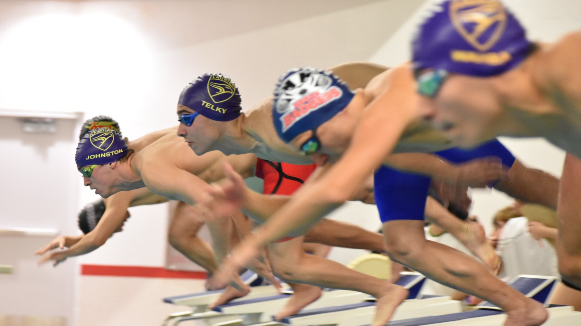 Laurier swimmers dive into the pool.