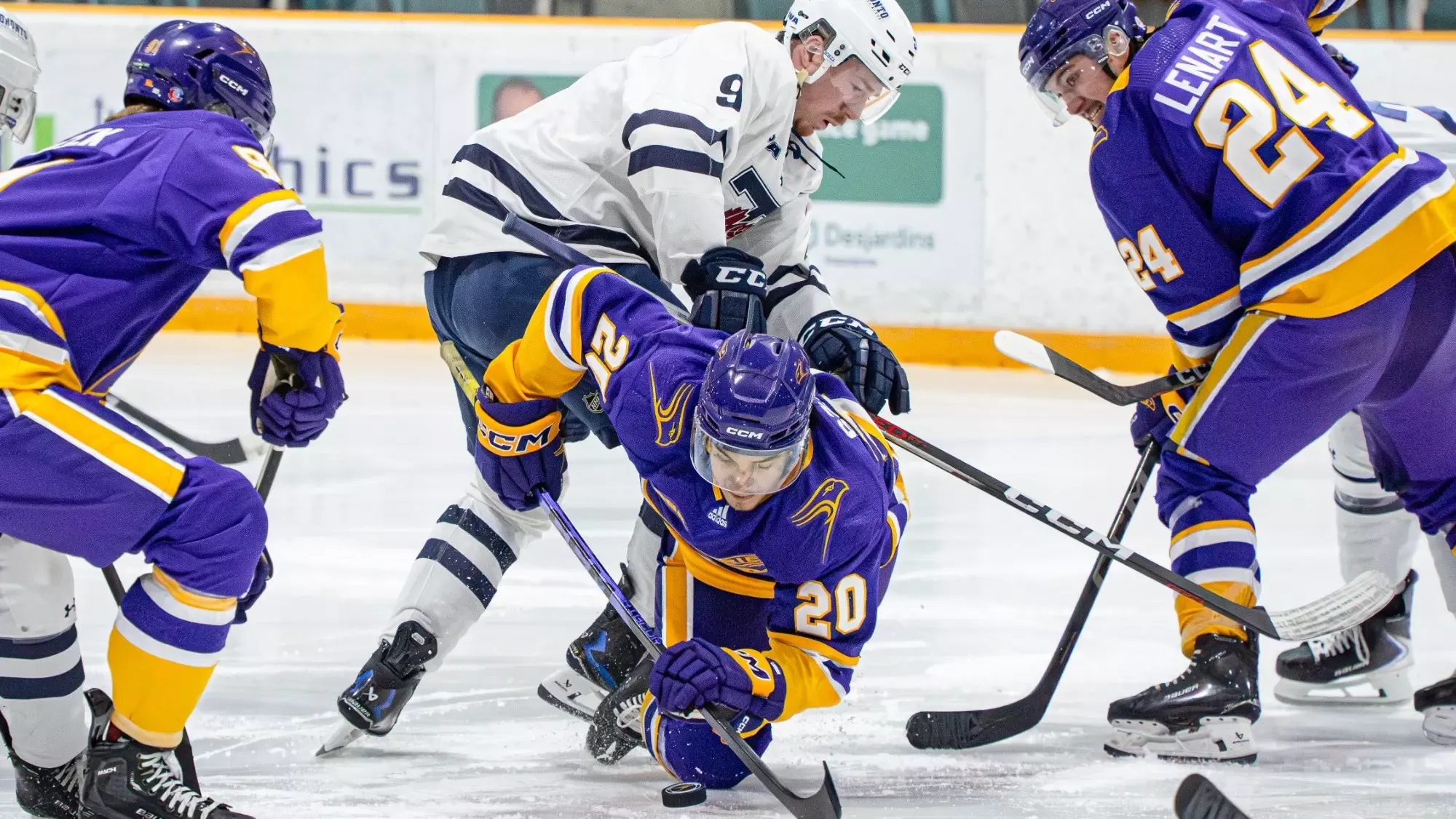 Laurier lunges for the loose puck against Toronto