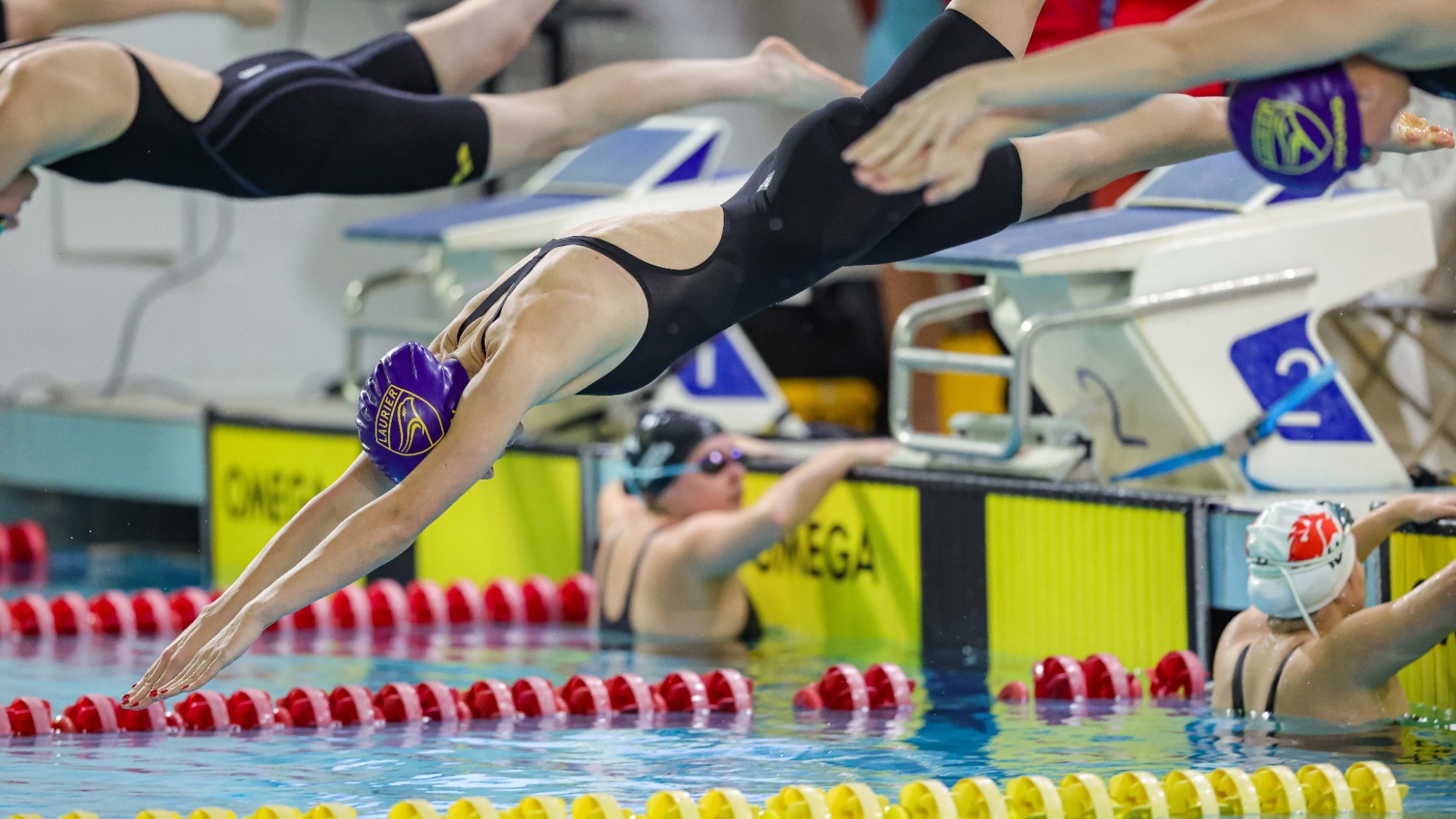 Laurier women's swim team dives into water at Boles Divisional