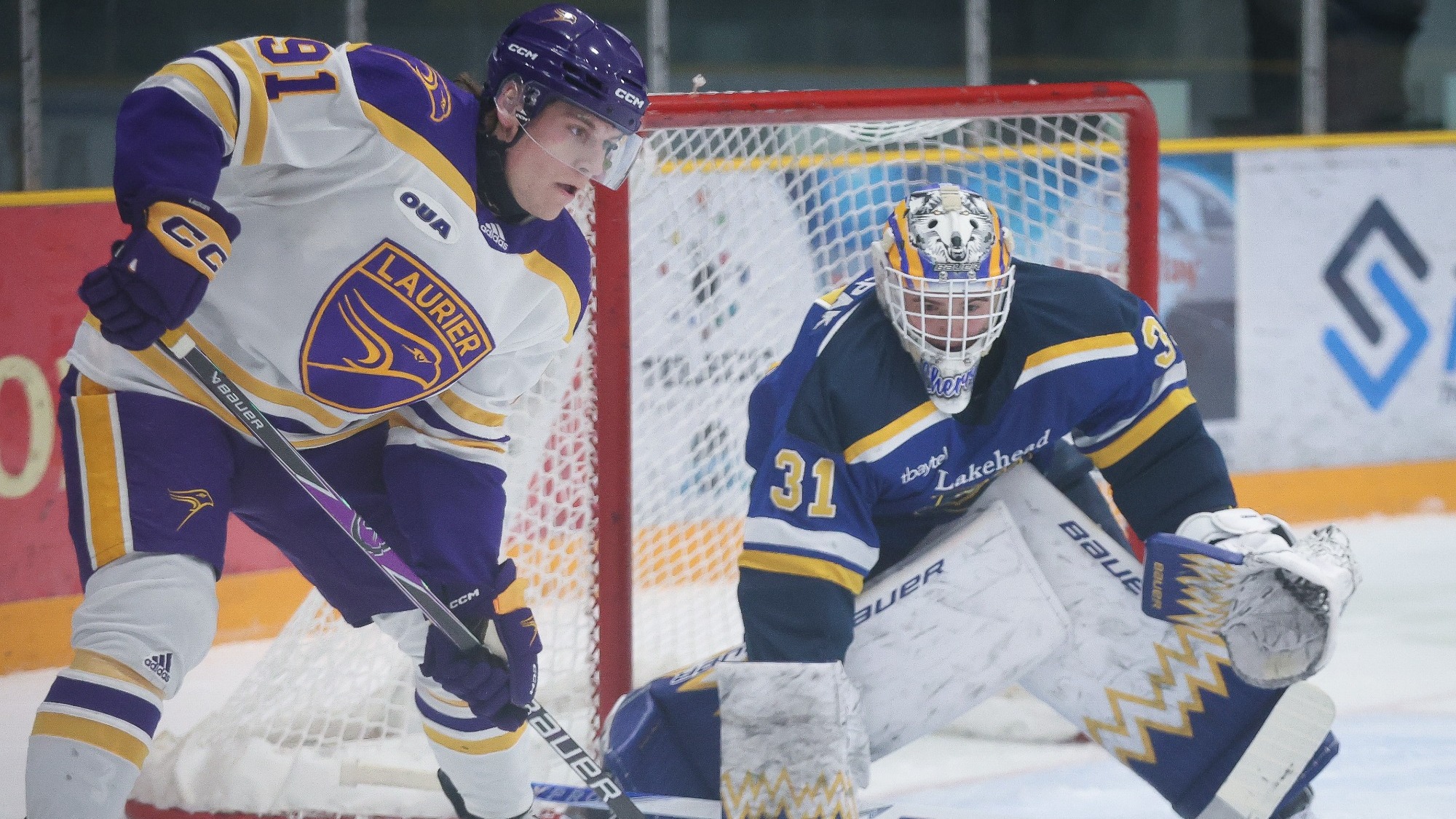 Travis Verbeek looking for the puck at the side of the goal