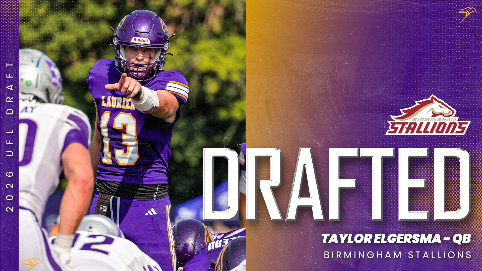 Taylor Elgermsa drafted by UFL's Birmingham Stallions