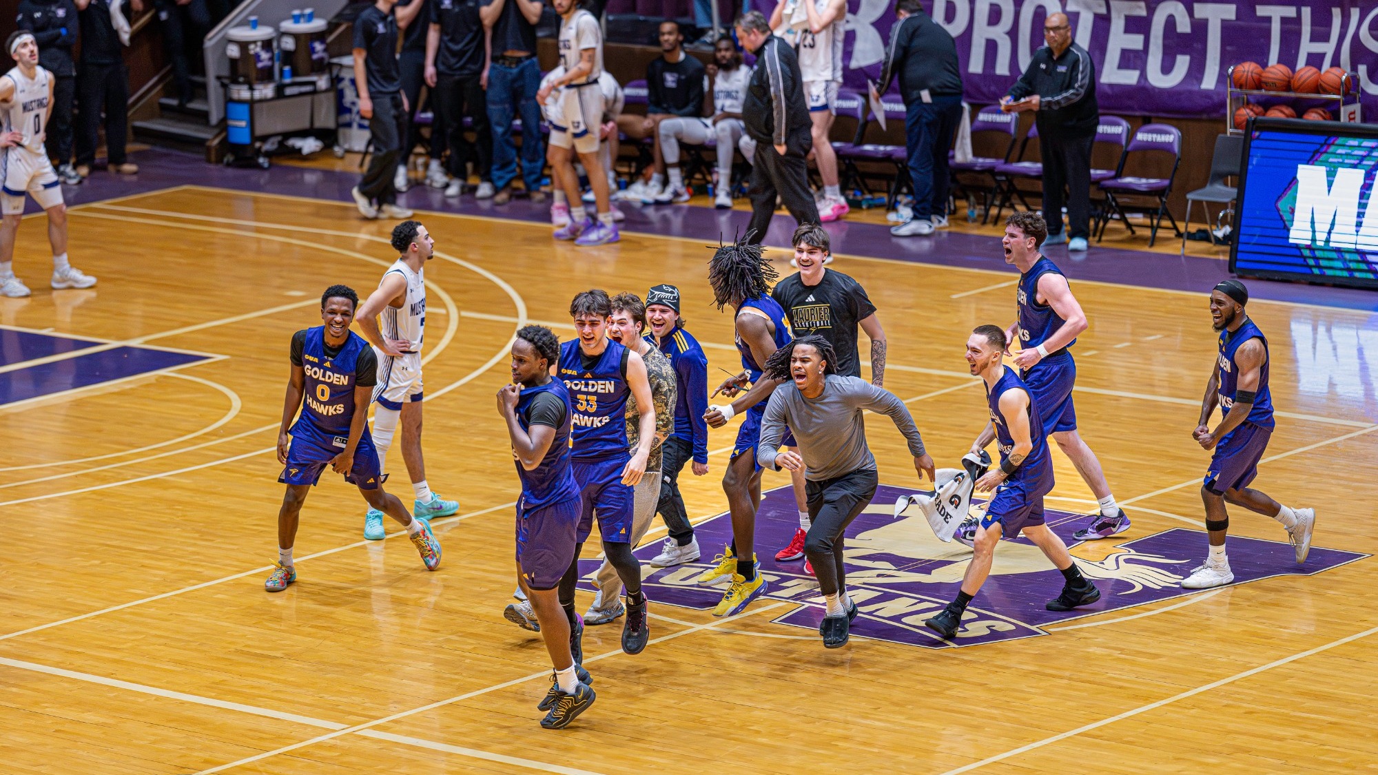 Laurier celebrates a buzzer-beater win over Western.