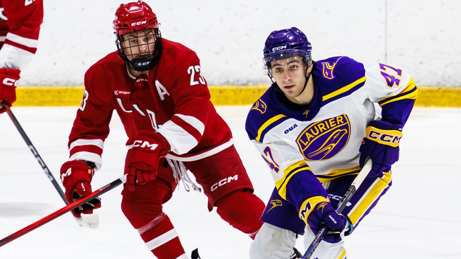 Laurier skates up ice against York