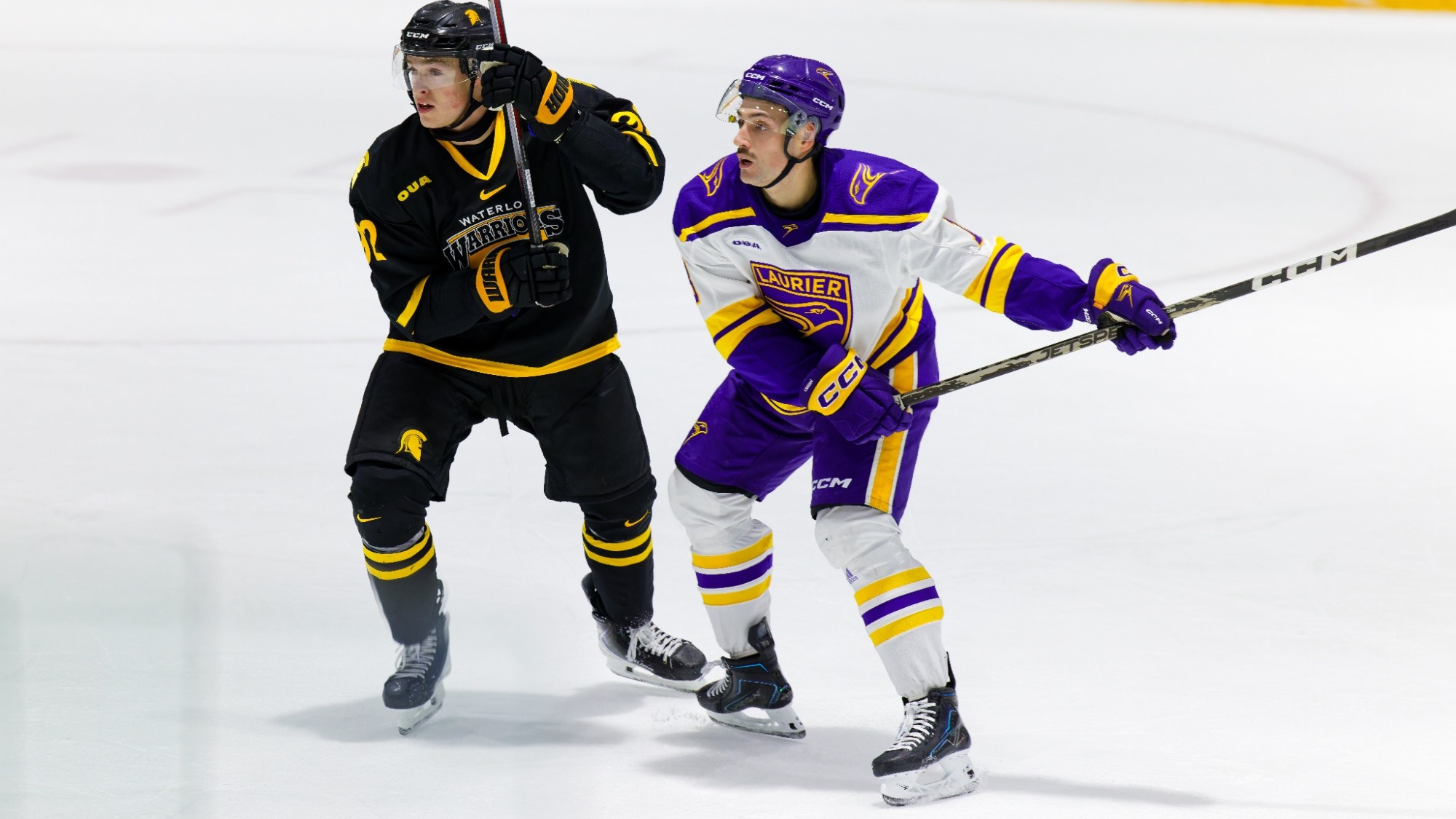 Laurier men's hockey time a shot against Waterloo