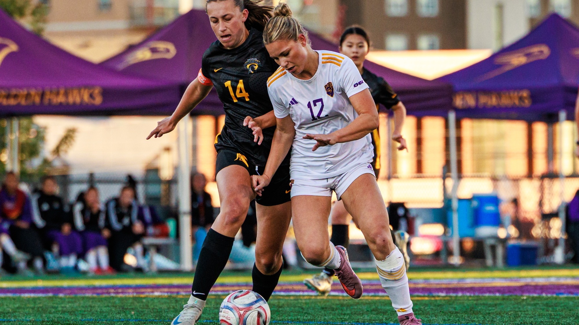 Laurier gets to the ball against Waterloo