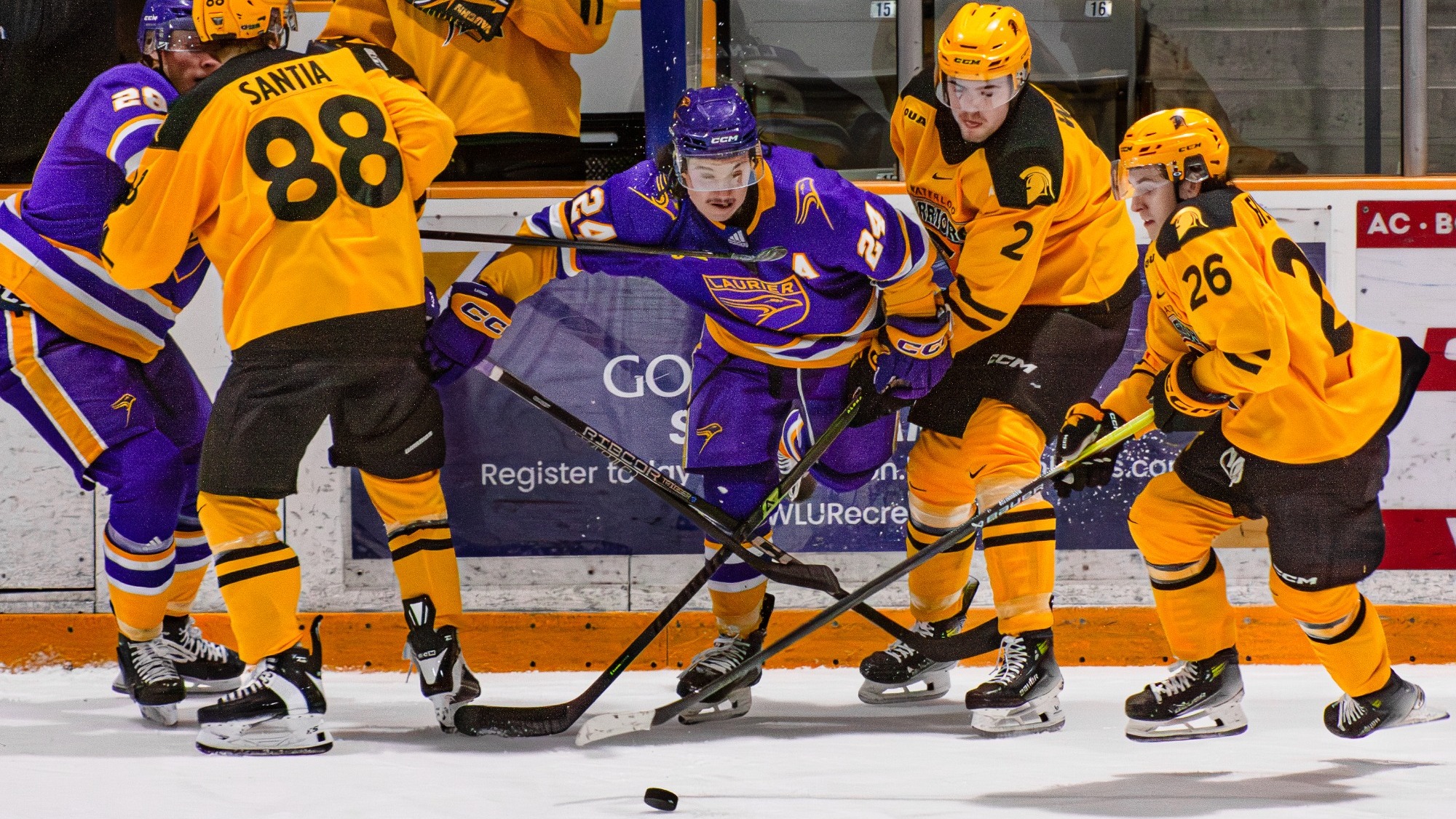 Laurier battles for the loose puck along the boards.