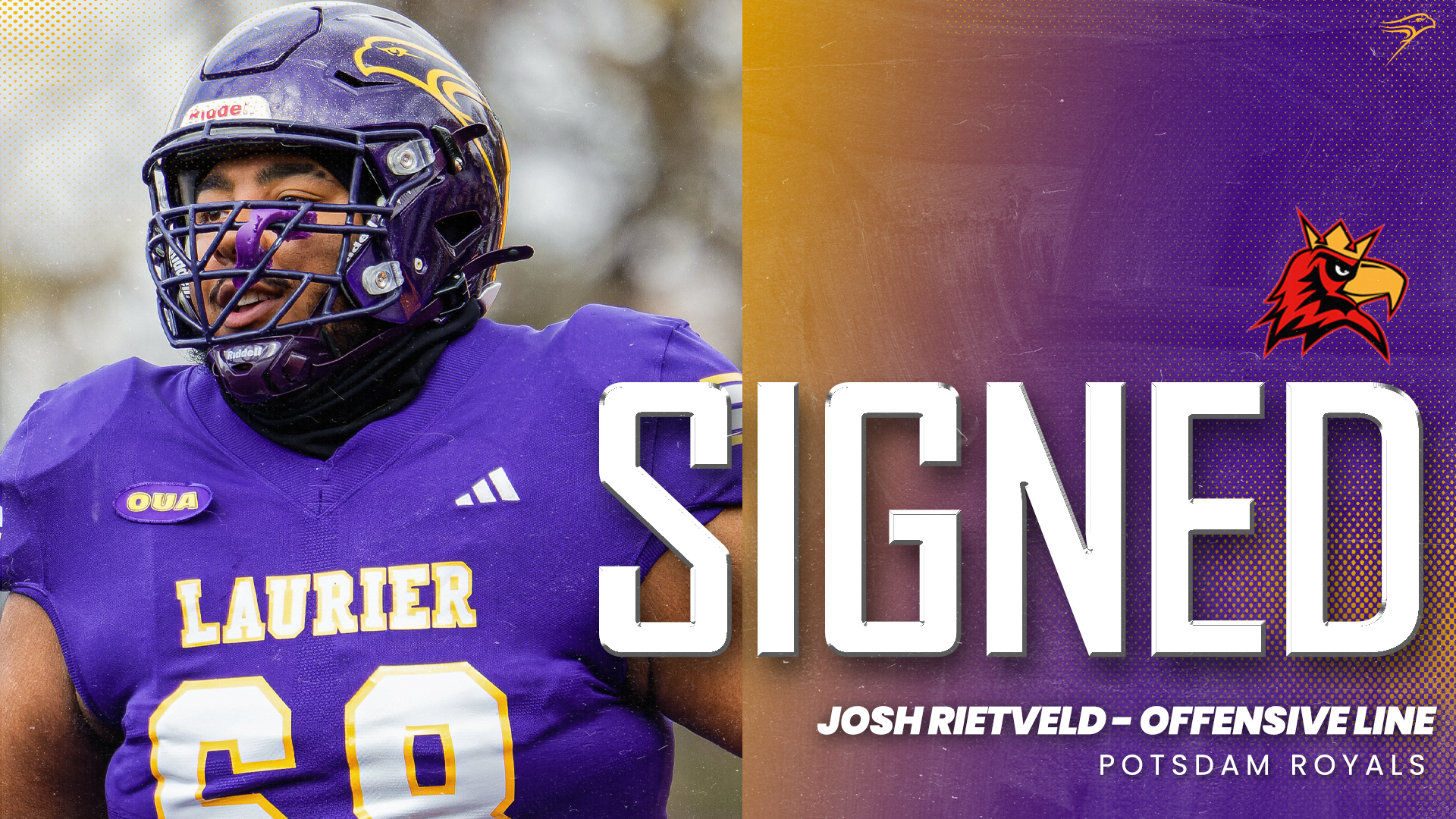 Josh Rietveld Potsdam signing