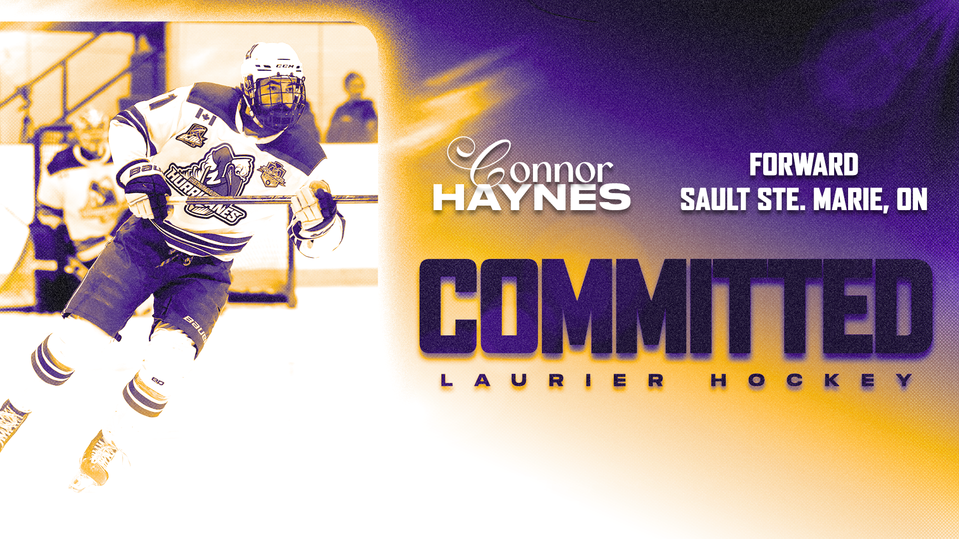 Connor Haynes commitment