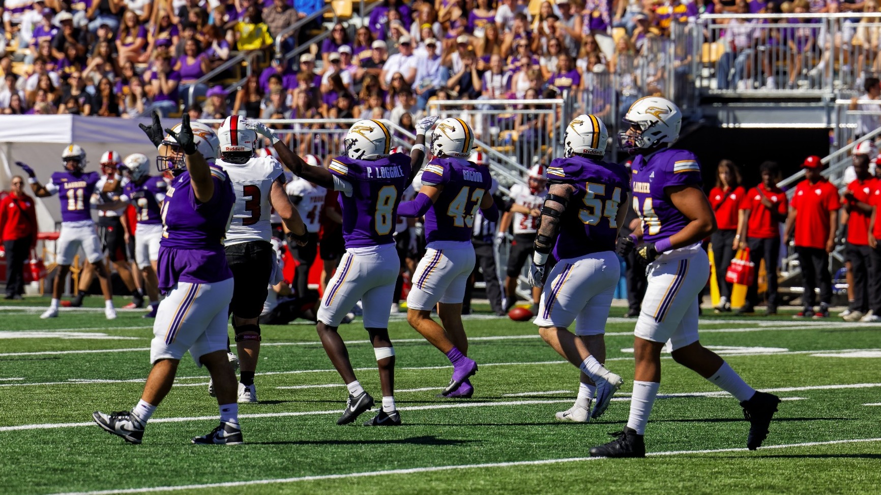 Laurier football face the York Lions on Homecoming