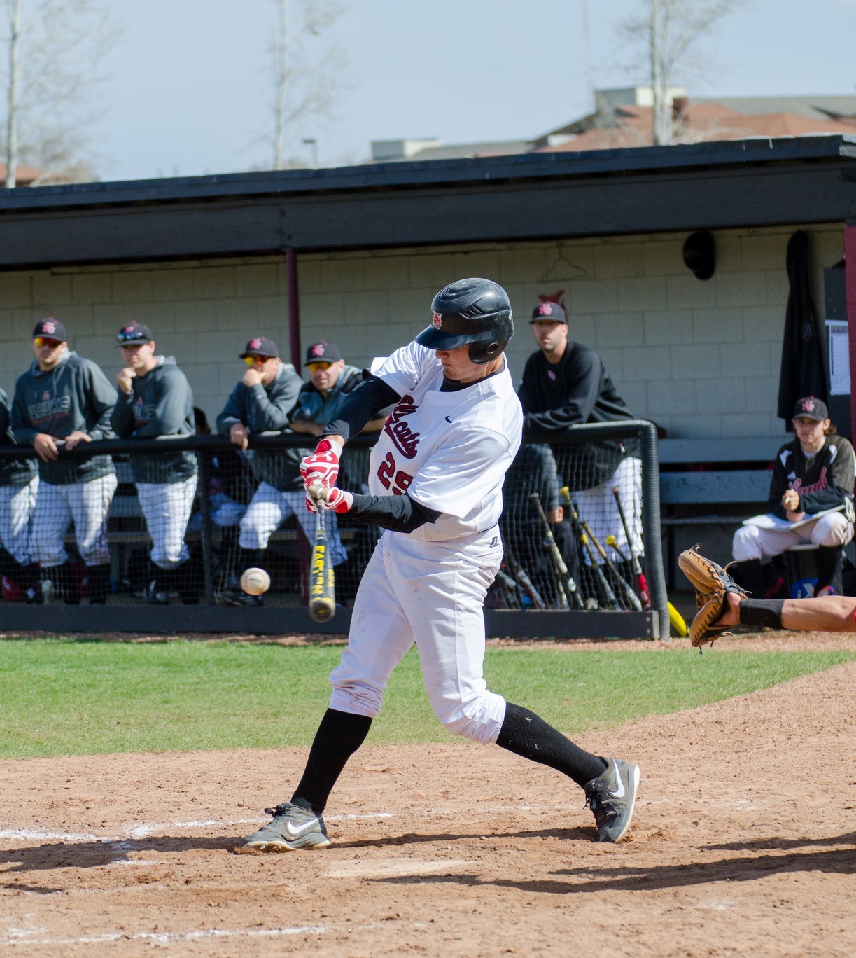 Josh Potter Baseball Central Washington University Athletics
