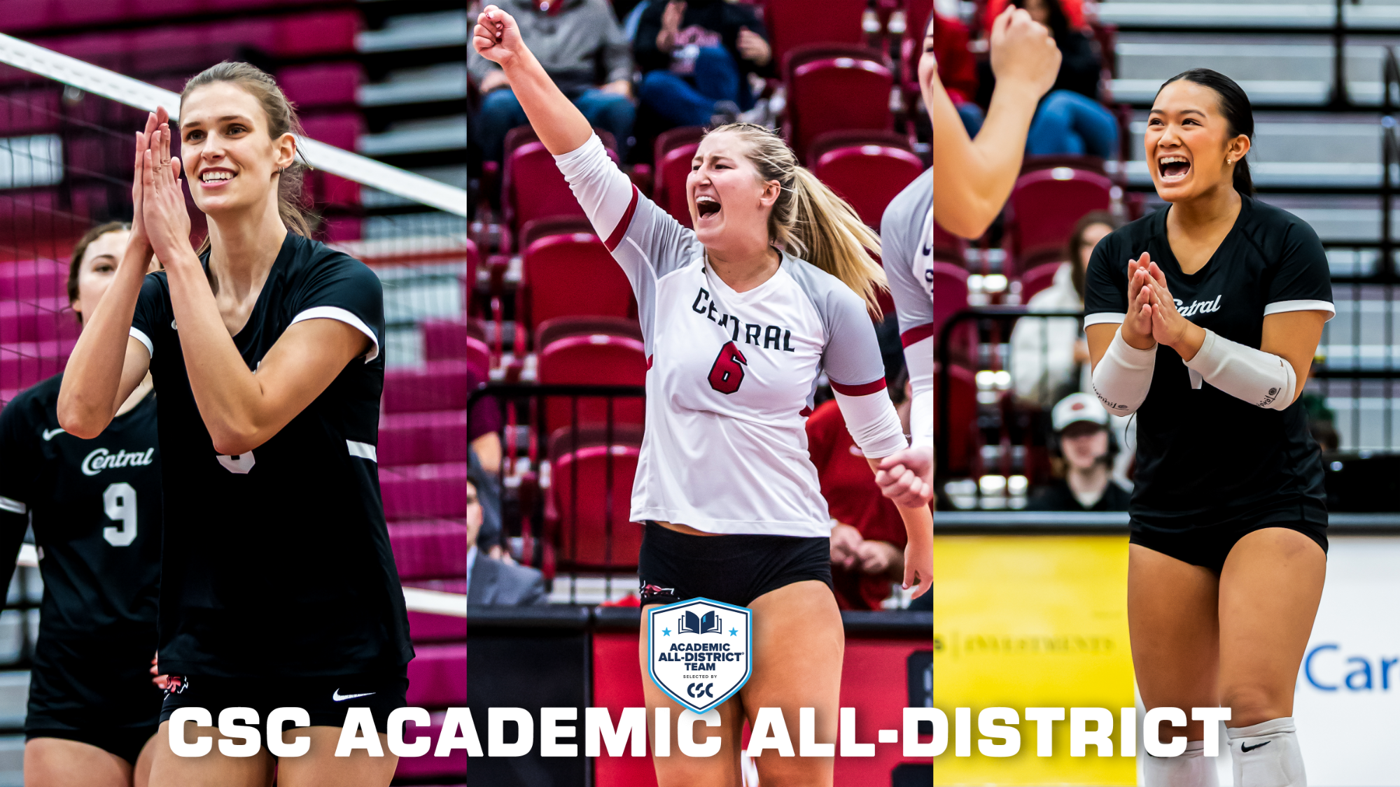 VBall Academic All-District