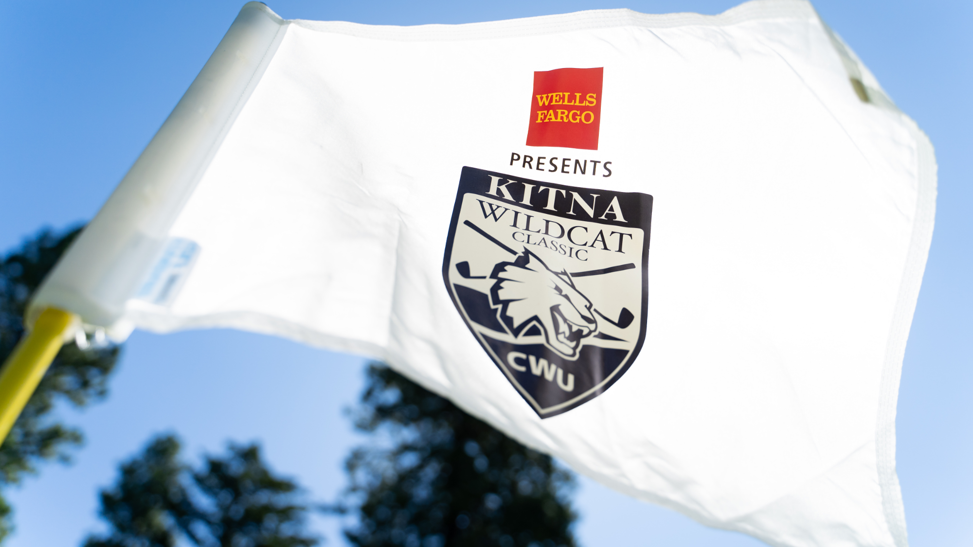 Kitna Flag