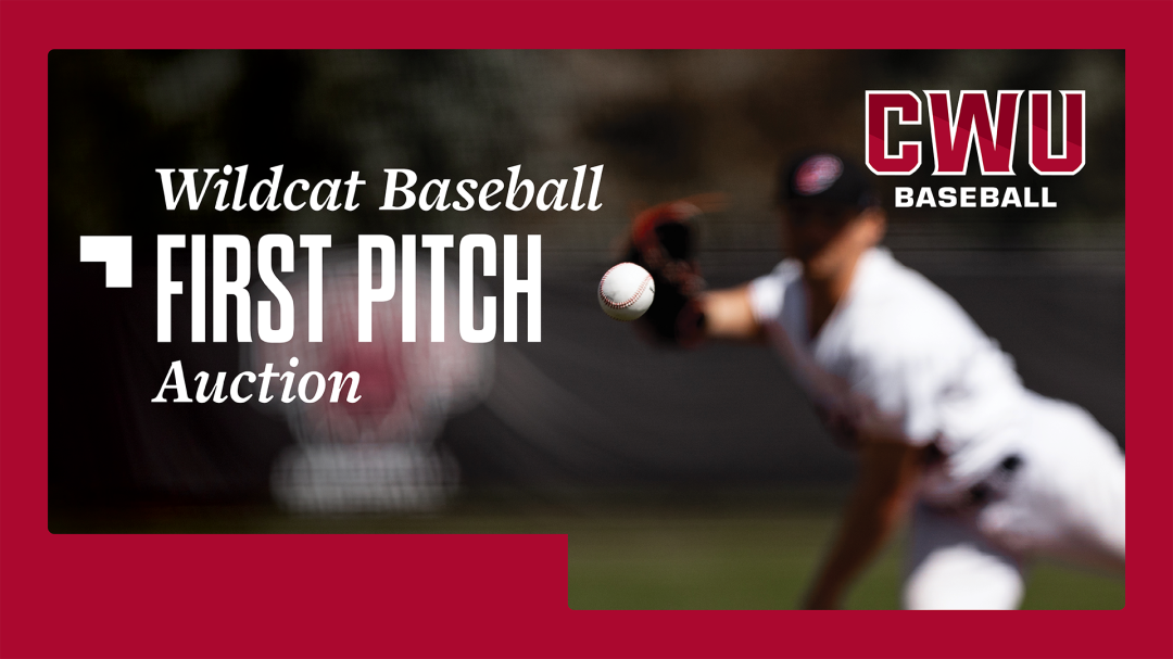 2026 Baseball Auction