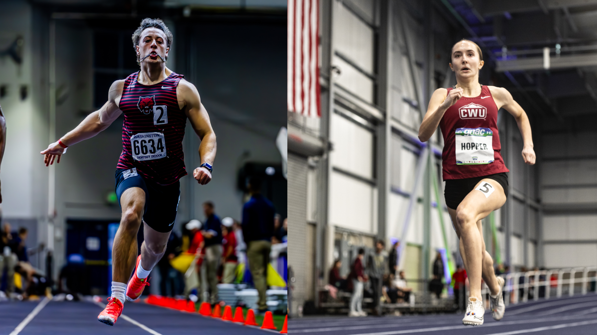 AOTW article graphic 