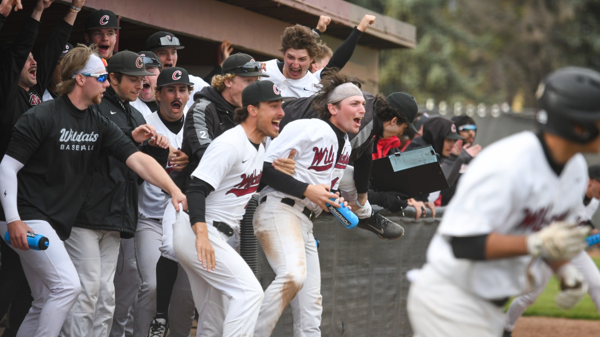 Baseball Celebrates Walk-Off vs EOU 3.24.26