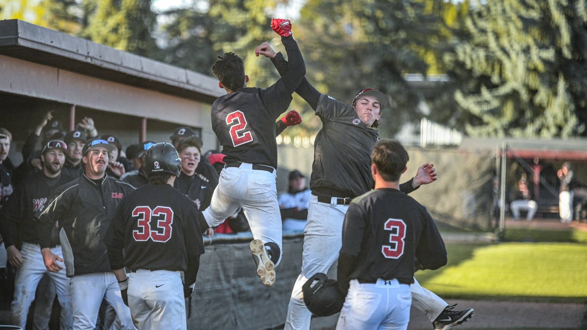 Andre Garza Gino Trippy Jr