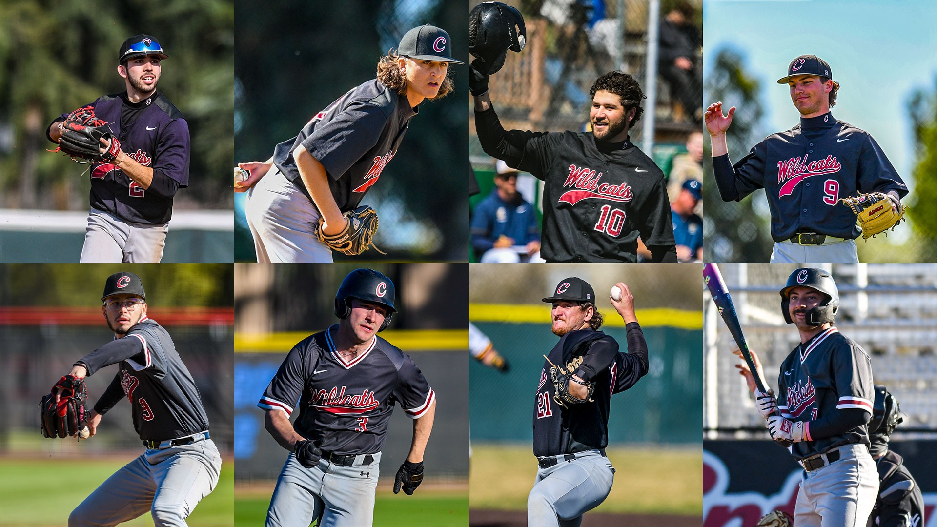 Baseball All Academic 2026