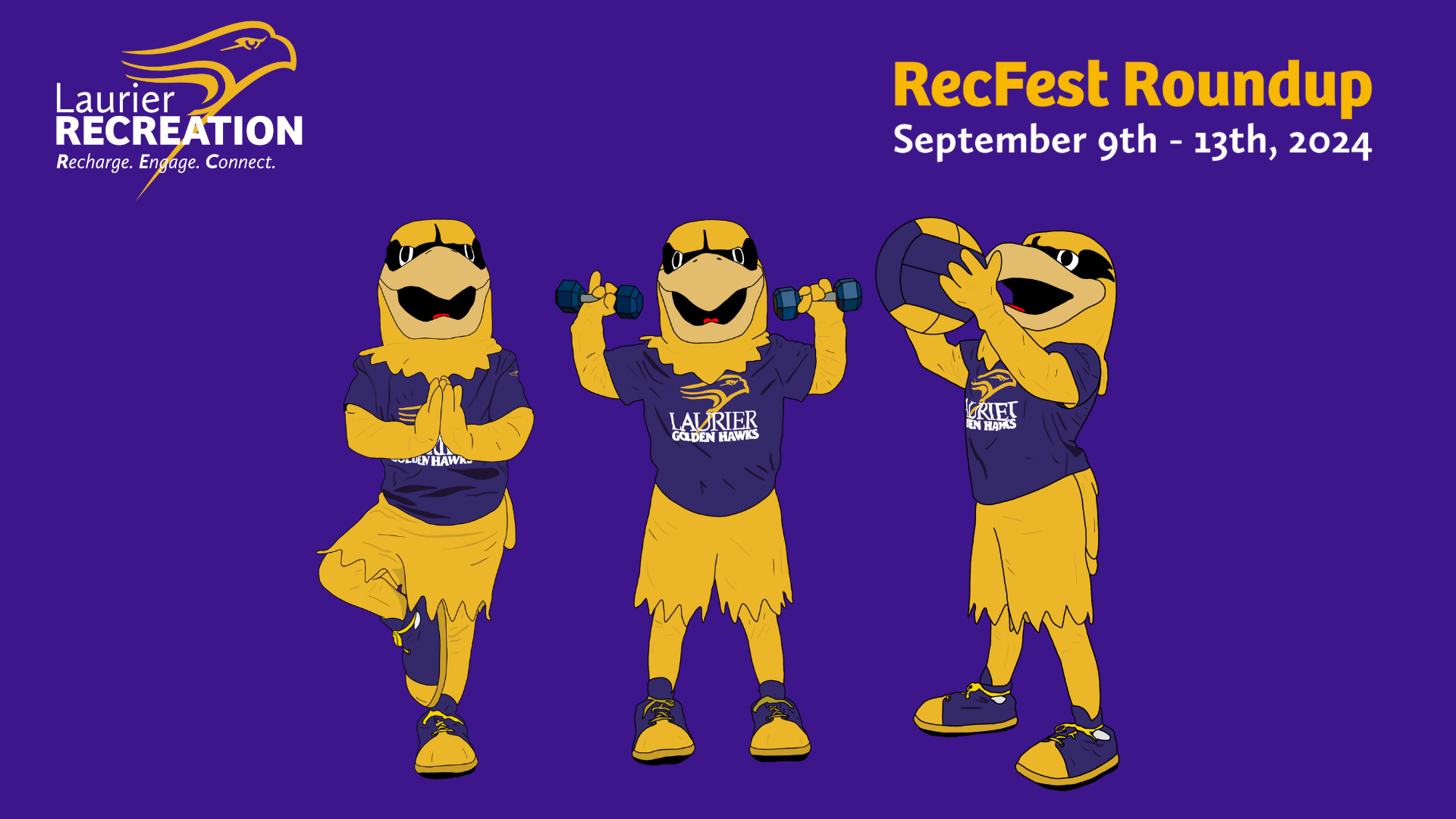 PickUp Sports Cricket Tapeball Information Sessions & Discount Code